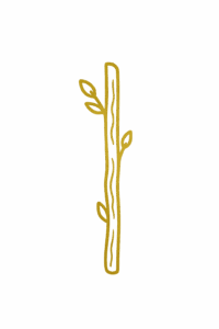 image (2)
